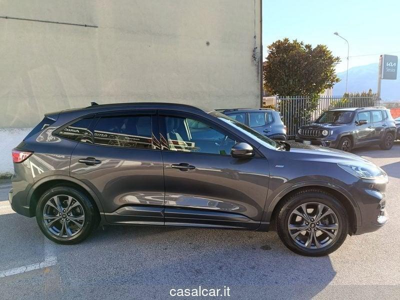 Ford Kuga Kuga 2.0 EcoBlue 190 CV aut. AWD ST-Line X GARANZIA FINO A 24 MESI DI GARANZIA