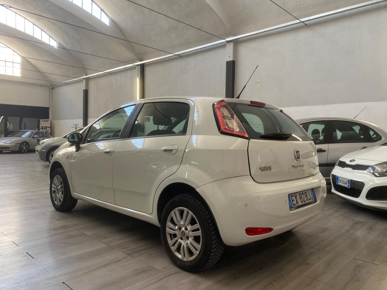 Fiat Punto 1.4 8V 5 porte Natural Power Lounge