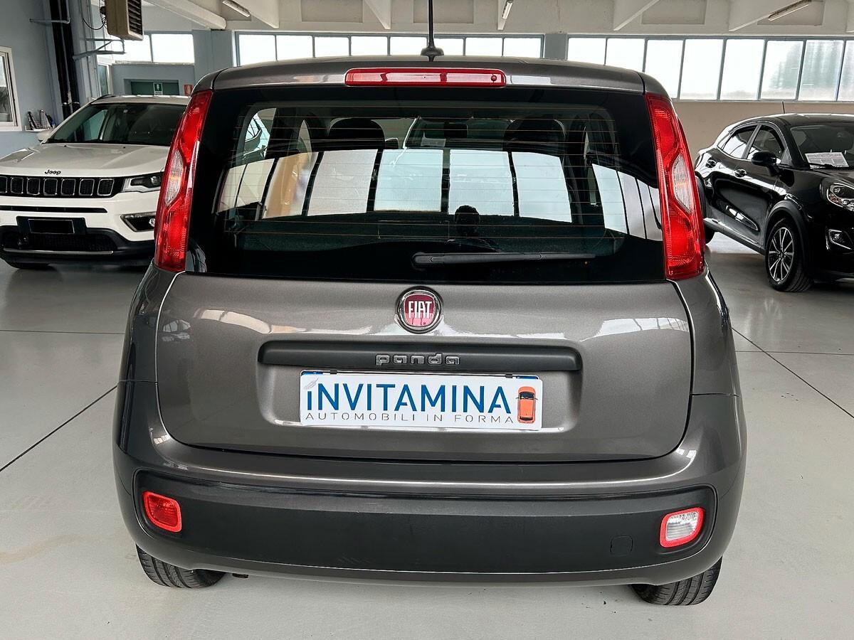 Fiat Panda 1.2 69cv Easy