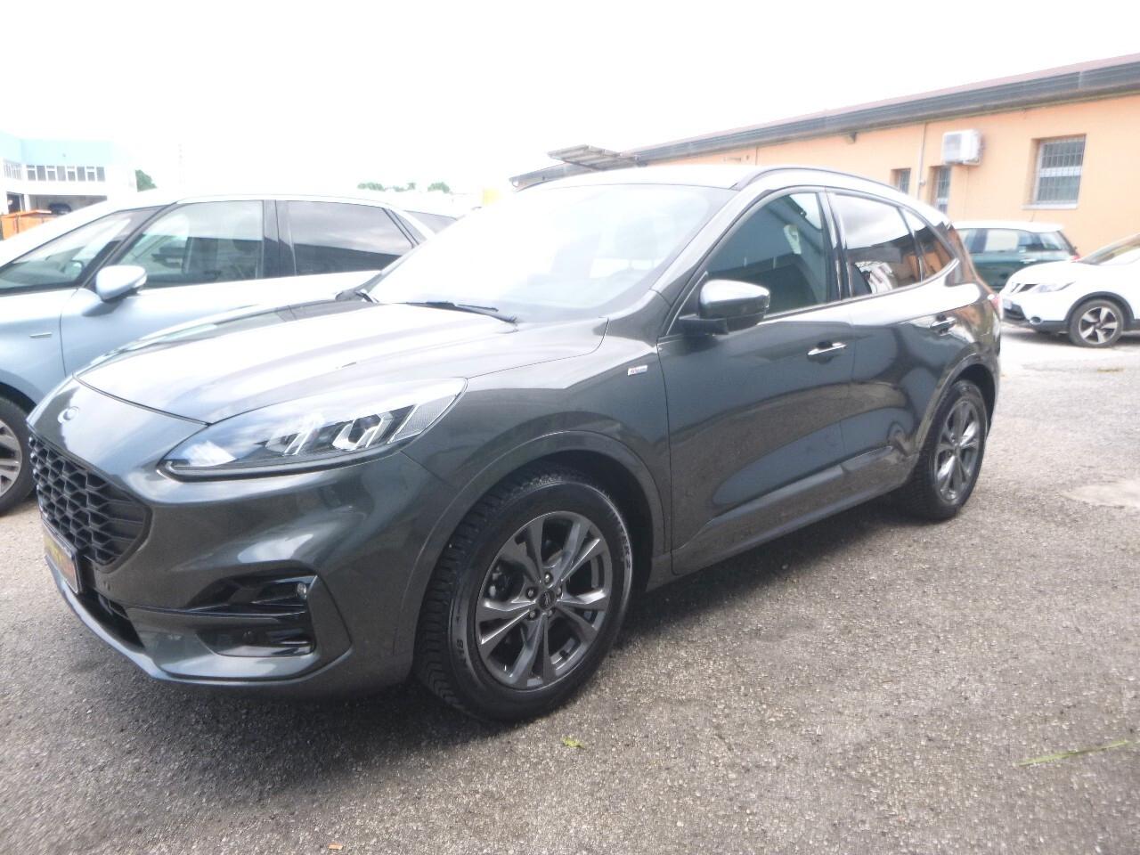 Ford Kuga 1.5 EcoBlue 120 CV 2WD ST-Line X NEOPATENTATI