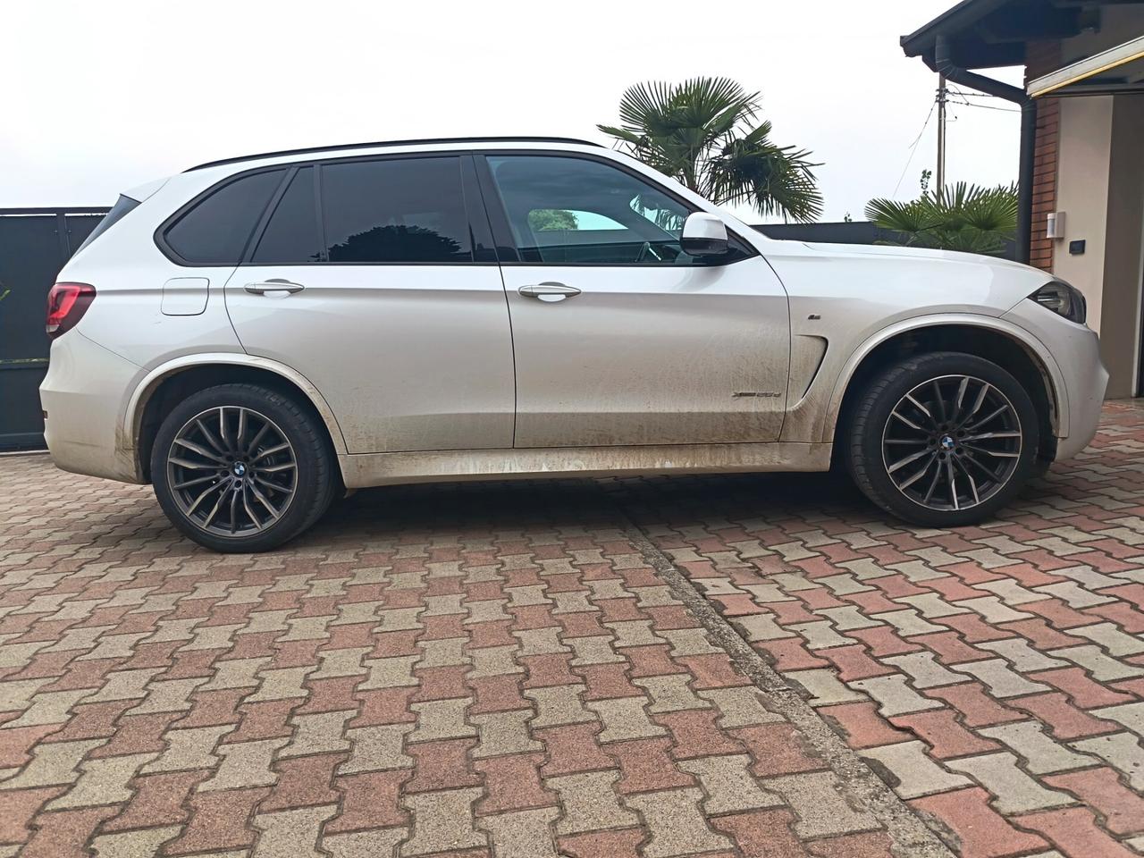 Bmw X5 sDrive25d Business