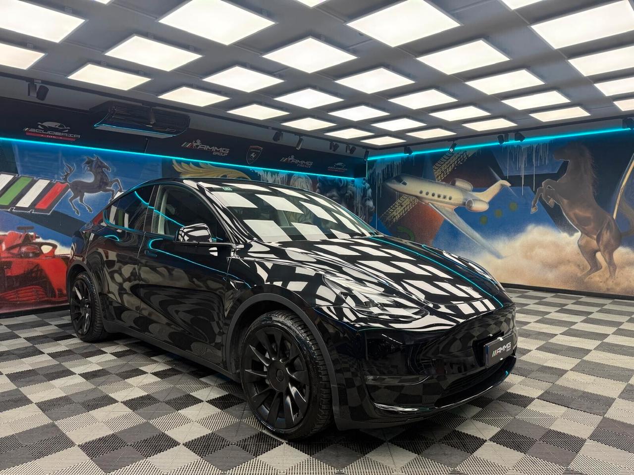 Tesla Model Y Long Range AWD (629)