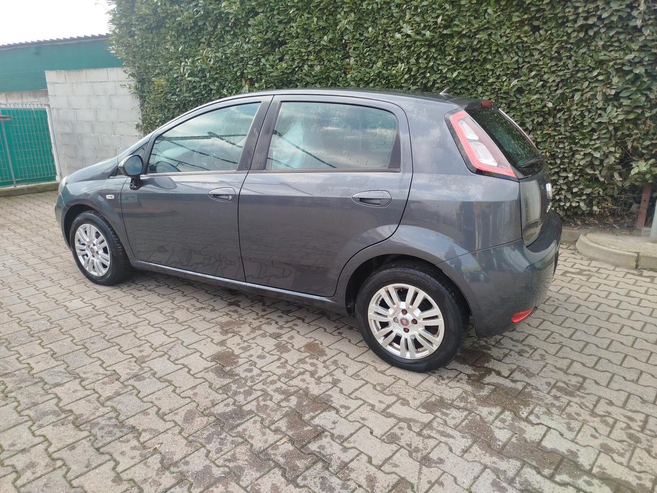 Fiat Punto Evo 1.2 5 porte 50th anniversario