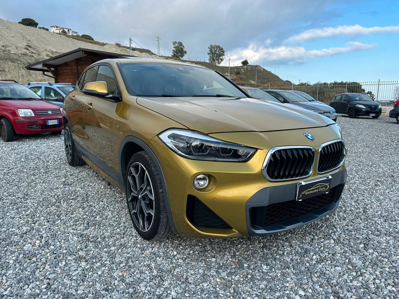 Bmw X2 xDrive20d Msport