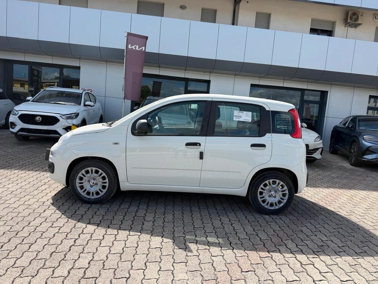Fiat Panda Pandina 1.0 FireFly 65 CV Hybrid Icon