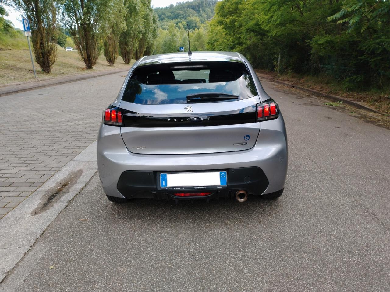 Peugeot 208 BlueHDi 100 5 porte Incidentata/Sinistrata