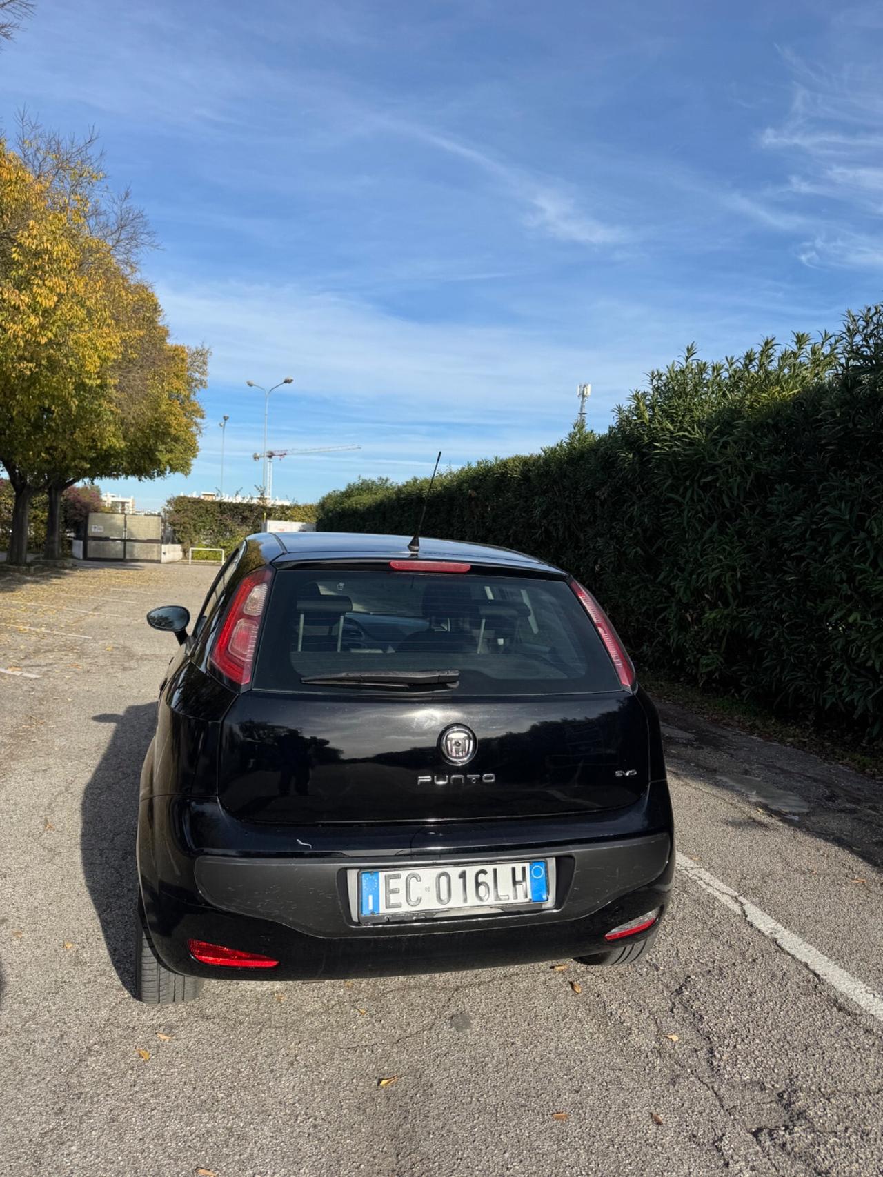 Fiat Punto Evo 1.2 5 porte Dynamic