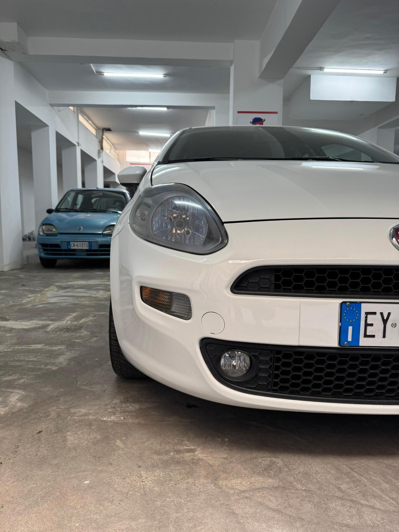 Fiat Punto 1.3 MJT II S&S 85 CV 5 porte ECO Young