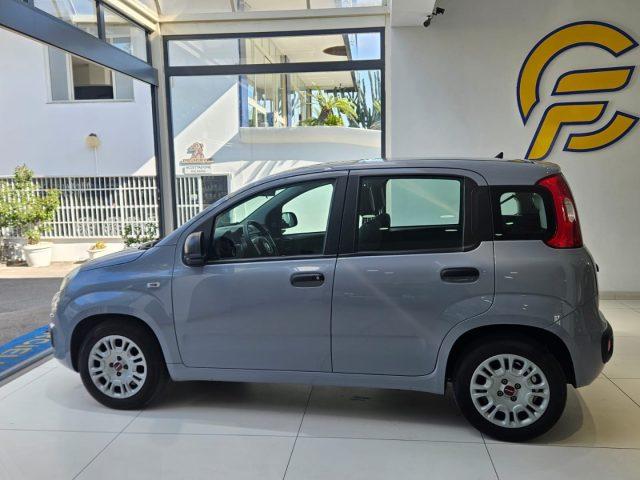 FIAT Panda 1.0 FireFly S&S Hybrid da ?119,00 mensili