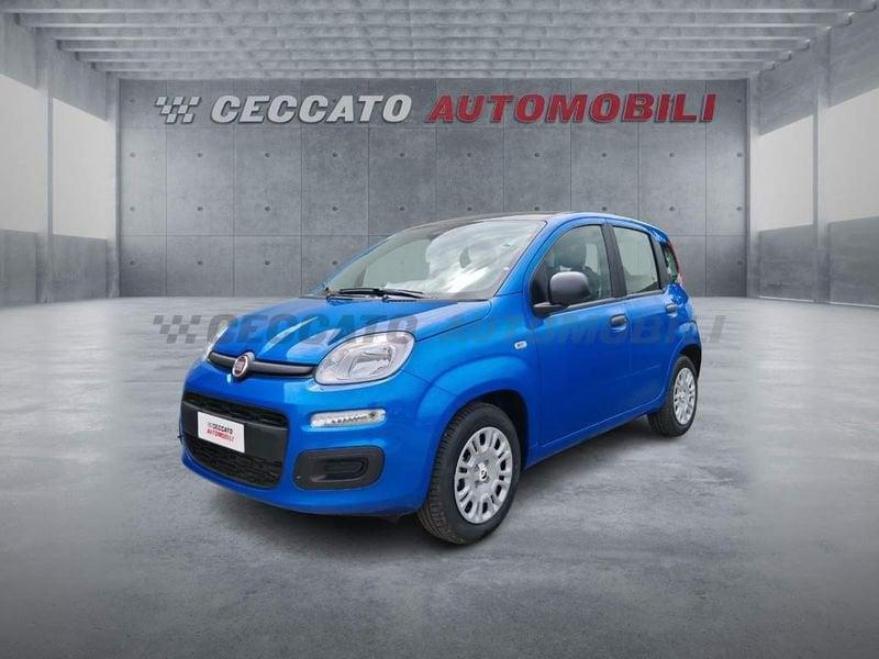 FIAT Panda Panda 1.0 firefly hybrid s&s 70cv
