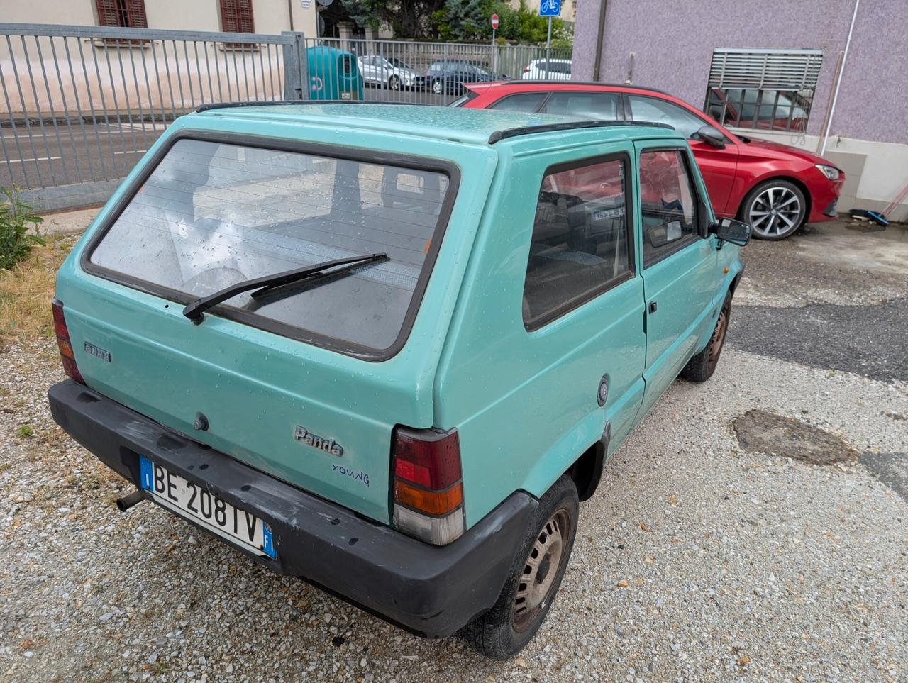 Fiat Panda 900 i.e. cat Young