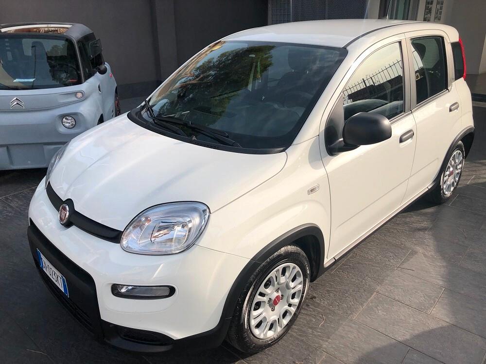 Fiat Panda 1.0 FireFly S&S Hybrid