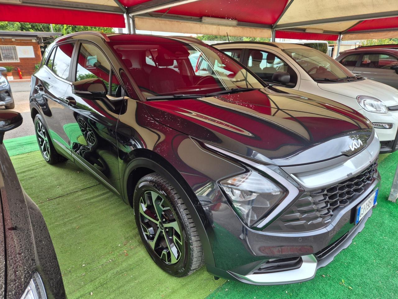 Kia Sportage 1.6 CRDI 136 CV 2WD Mild Hybrid Busin