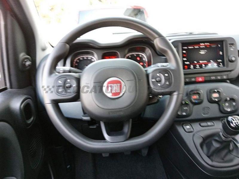 FIAT Panda Cross Panda 1.0 firefly hybrid Cross s&s 70cv 5p.ti