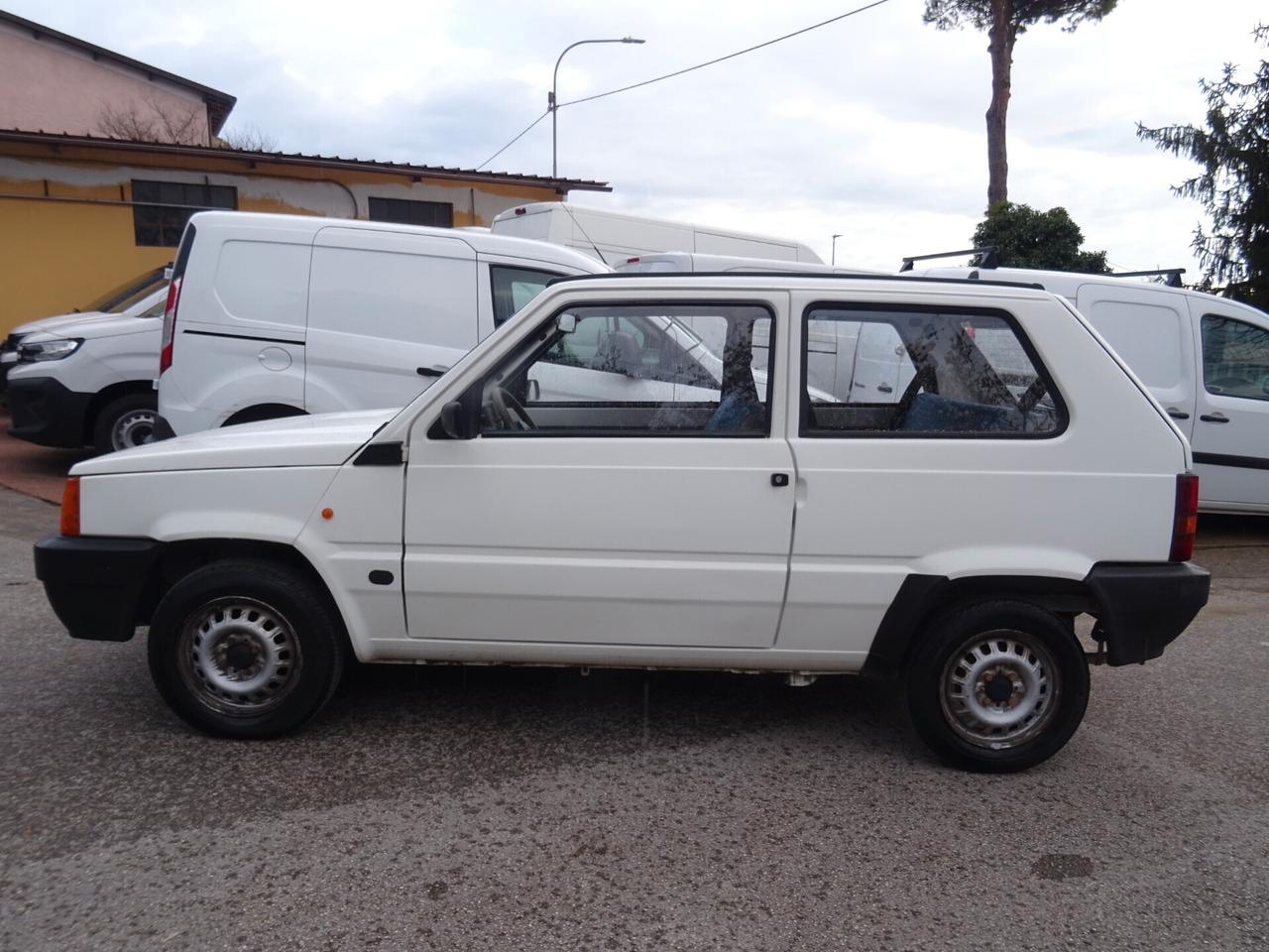 Fiat Panda 1100 i.e. cat Young