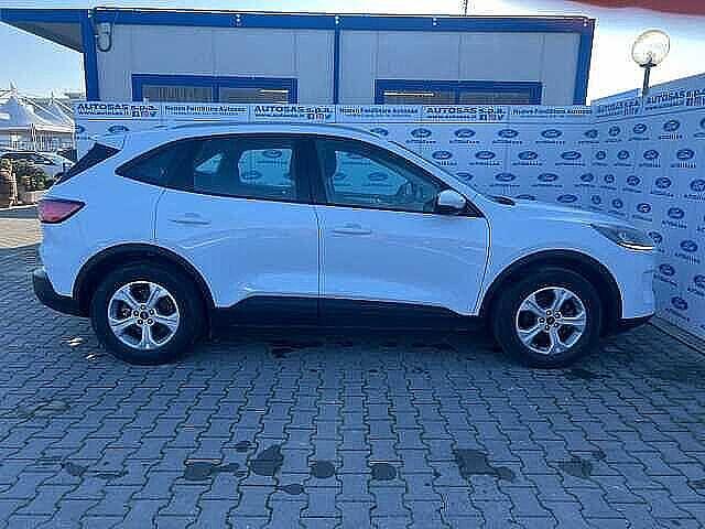 Ford Kuga 1.5 EcoBlue 120 CV 2WD Titanium Business