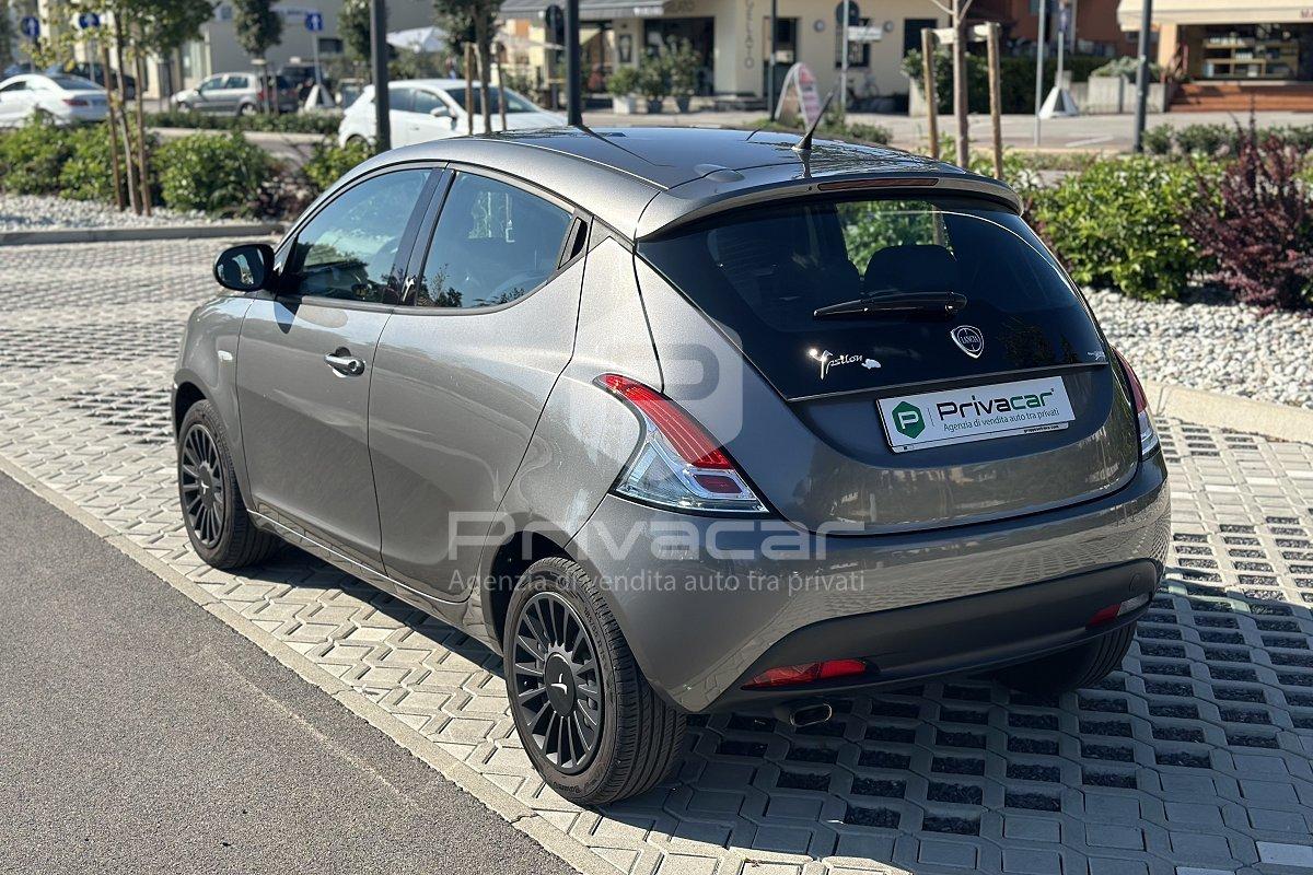 LANCIA Ypsilon 1.2 69 CV 5 porte Elefantino