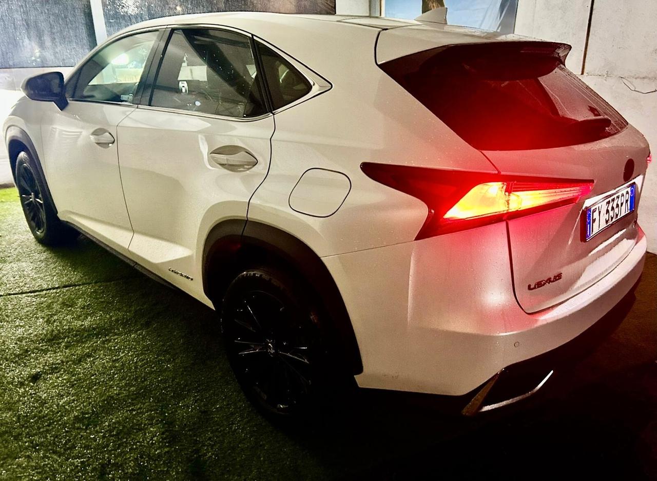 Lexus NX 300h Luxury Tech Pack Tetto Mark Levinson | 66.000 km Full Optional