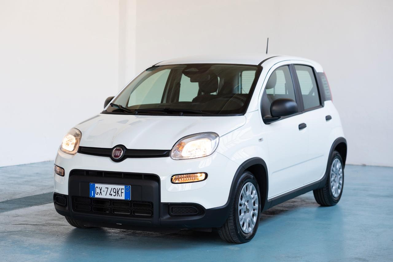 Fiat Panda 1.0 FireFly S&S Hybrid Pandina IVA ESPOSTA