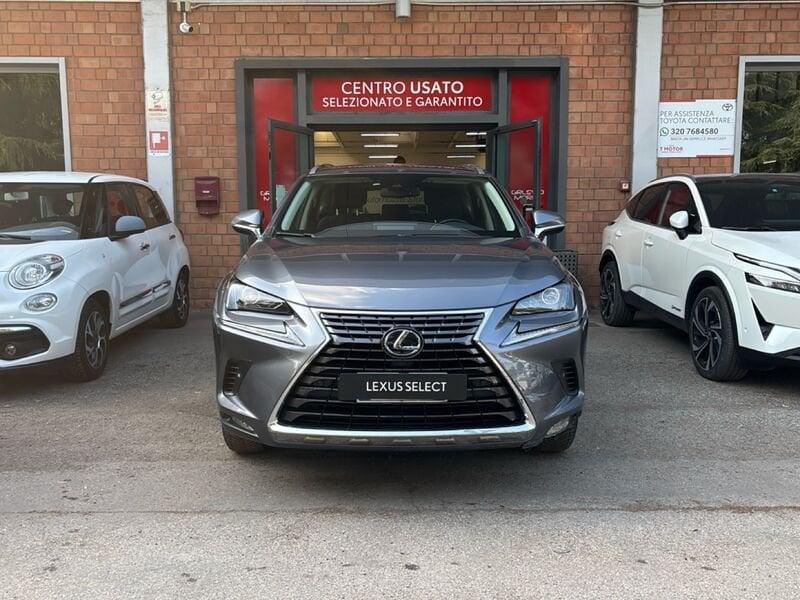 Lexus NX Hybrid Premium 4WD MY22