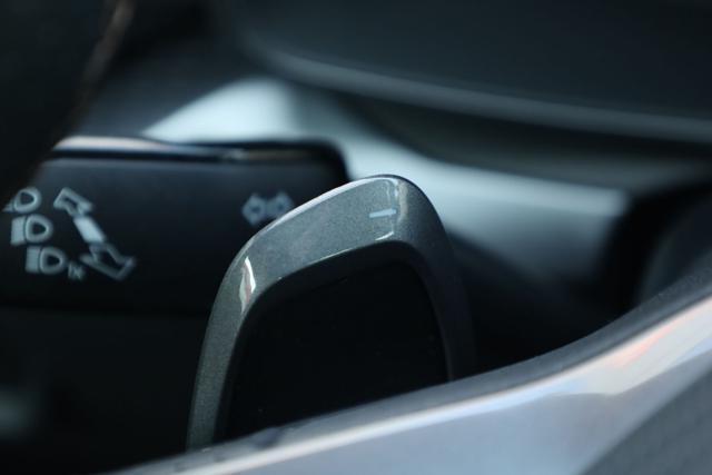 CUPRA Leon 2.0 TDI 150 CV DSG