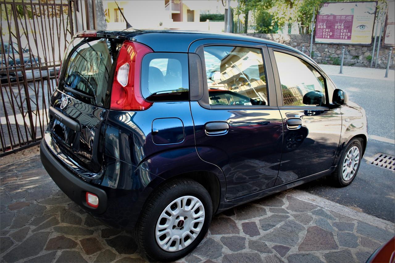 Fiat Panda 1.2 Easy Neopatentati