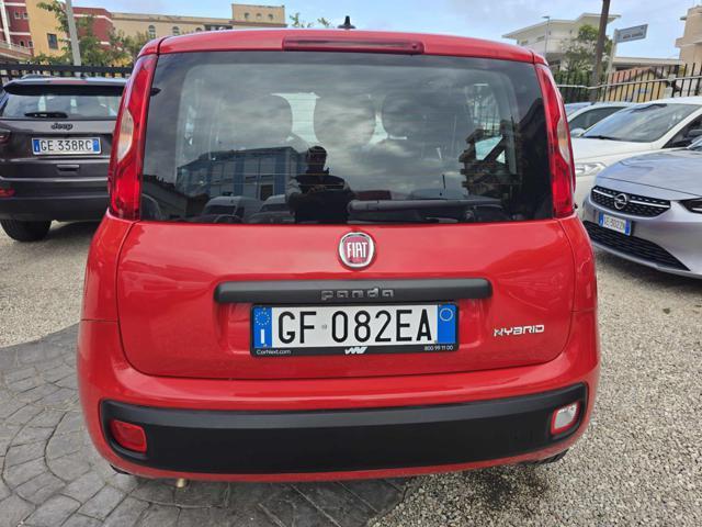 FIAT Panda 1.0 FireFly S&S Hybrid Eas 5 posti no obbligo fina