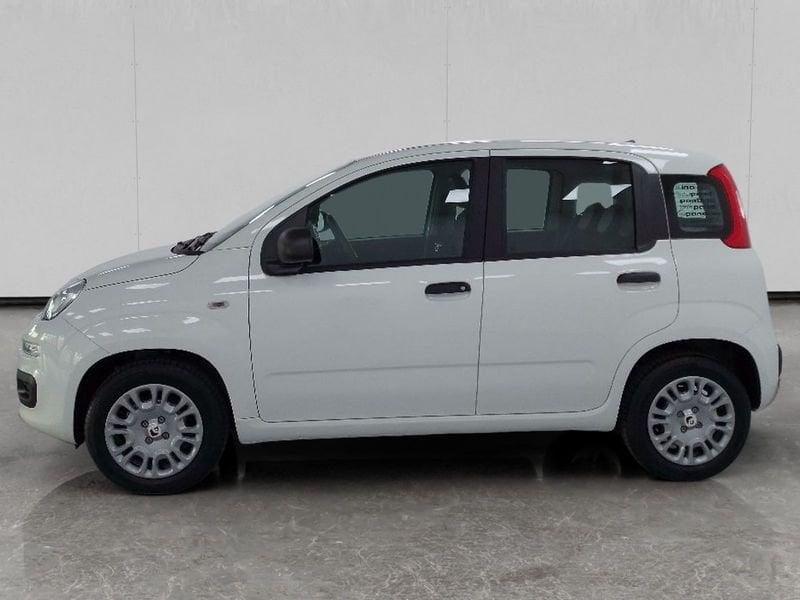 FIAT Pandina 1.0 firefly hybrid Icon s&s 70cv 5p.ti