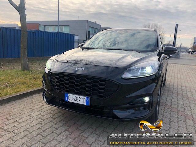 FORD Kuga 1.5 EcoBlue 120 CV Cambio aut. ST-Line