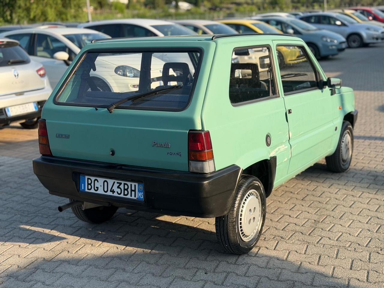 Fiat Panda 900 i.e. cat Young