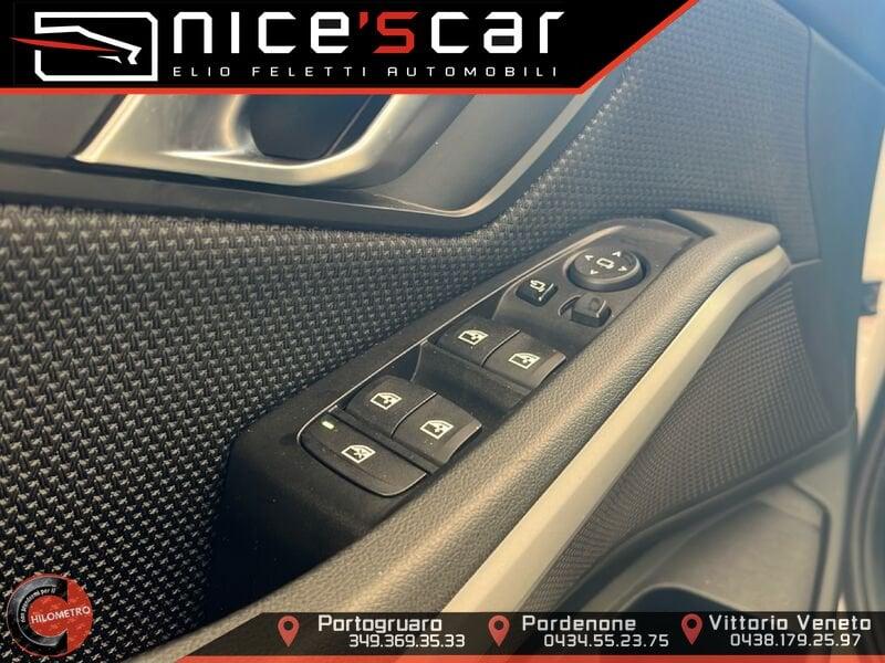 BMW Serie 3 320d xDrive Business Advantage