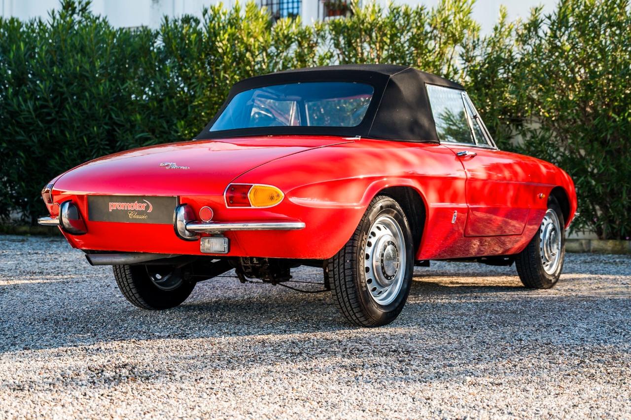 Alfa Romeo Spider 1600 Duetto ”Osso di Seppia”