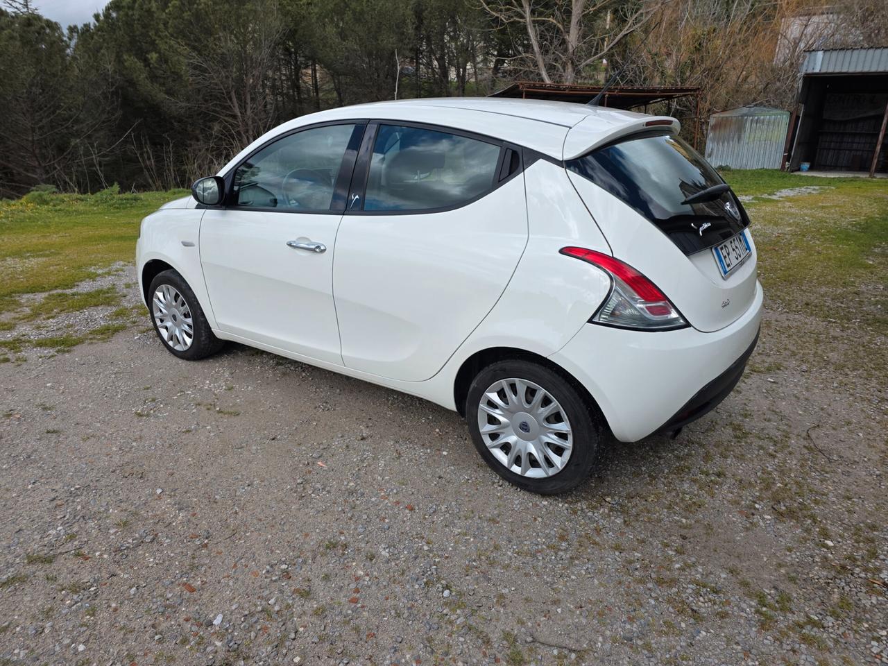 Lancia Ypsilon 1.3 MJT 16V 95 CV 5 porte S&S Platinum