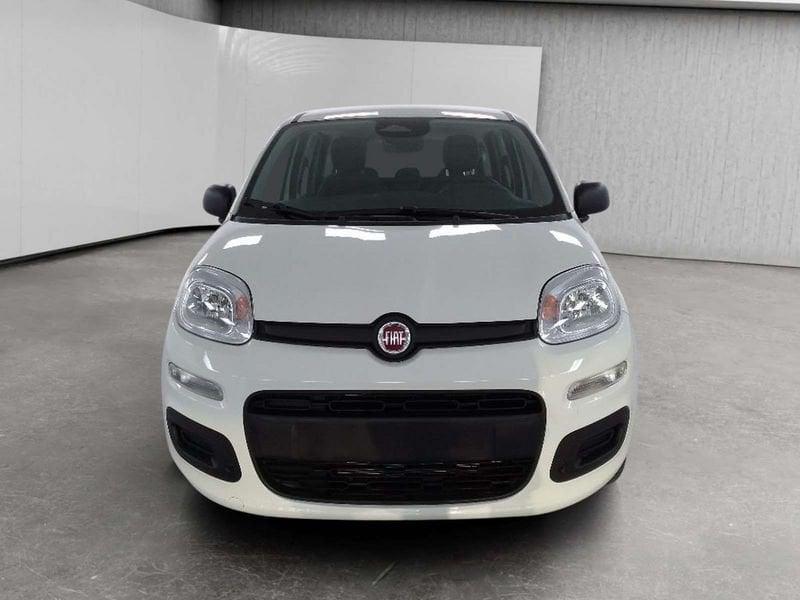 FIAT Pandina 1.0 firefly hybrid Icon s&s 70cv 5p.ti