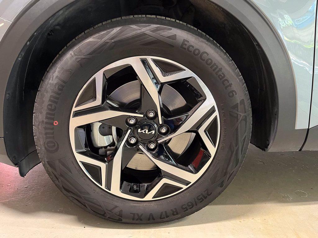 KIA Sportage 1.6 crdi mhev Business dct del 2024