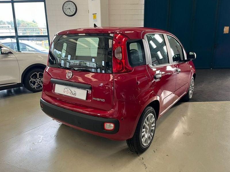 FIAT Panda Panda 1.0 FireFly S&S Hybrid - PROMO SIRONIAUTO+