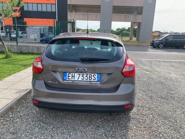 FORD Focus 1.6 125 CV Titanium