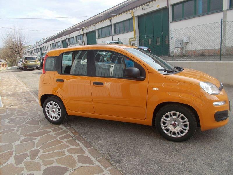 FIAT Panda 1.0 FireFly 70cv S&S Hybrid 338.7575187 MARCO MASSARI