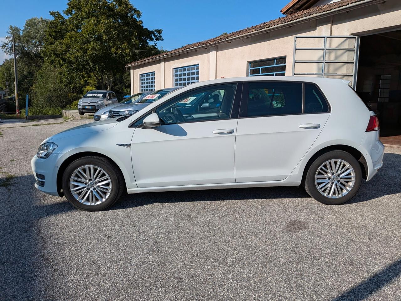 VW GOLF VII 4MOTION 1.6TDI 110CV