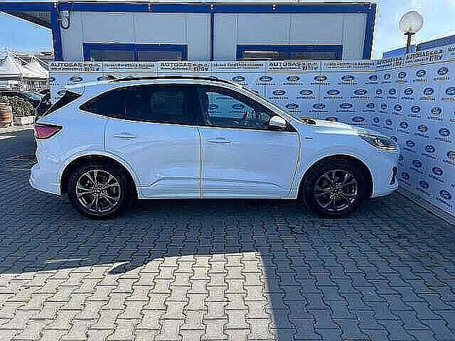 Ford Kuga 1.5 EcoBlue 120 CV 2WD ST-Line