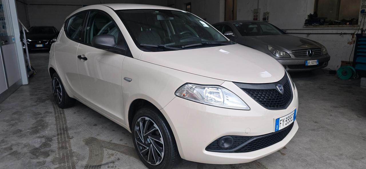 Lancia Ypsilon 1.2 69 CV 5 porte anno 2020 occasione