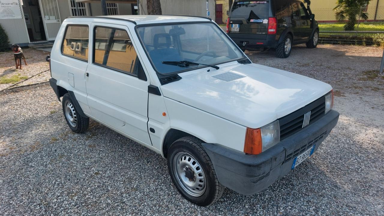 Fiat Panda 1100 i.e. cat Young