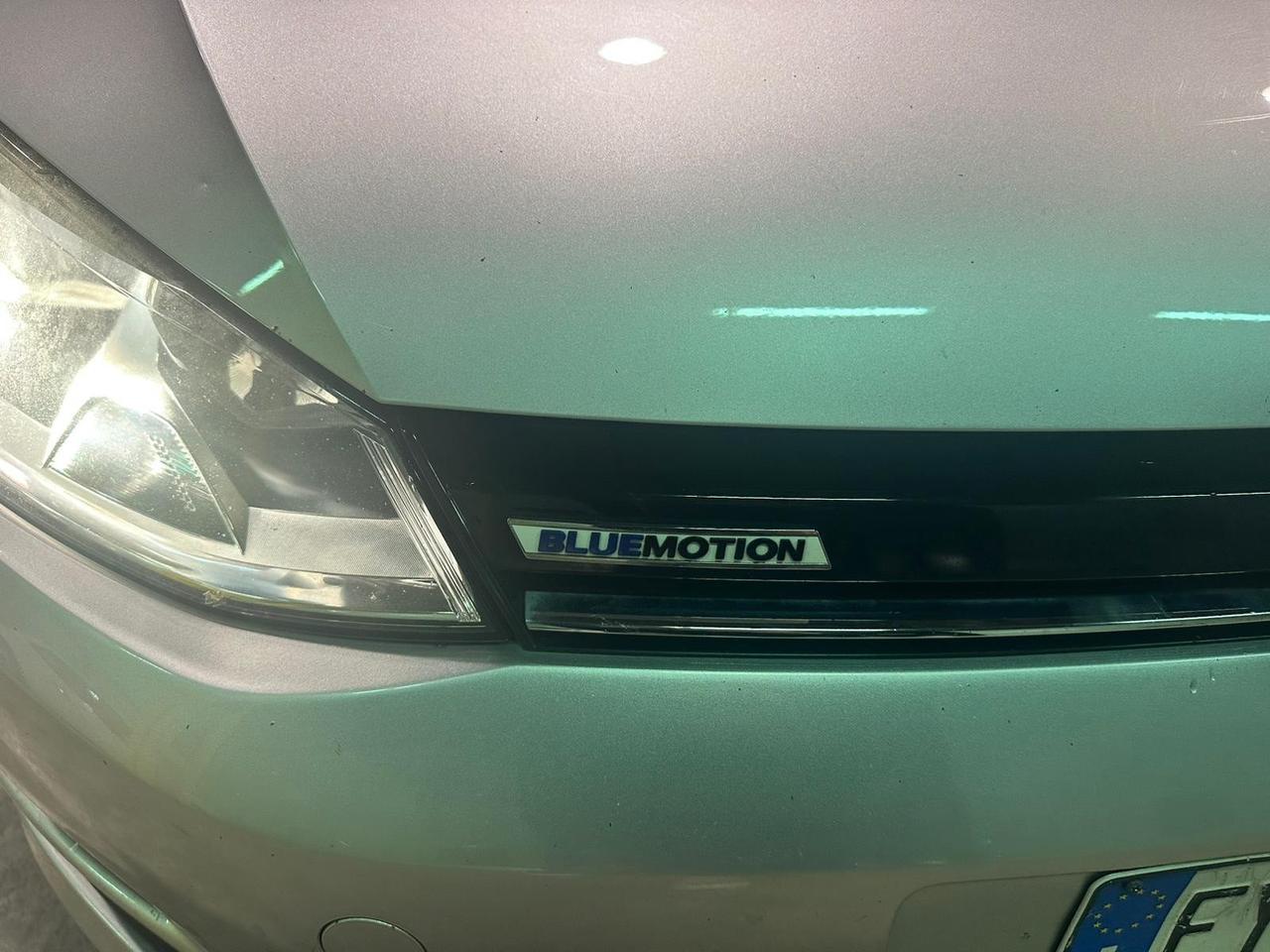 Volkswagen Golf Business 1.4 TGI 5p. Highline BlueMotion