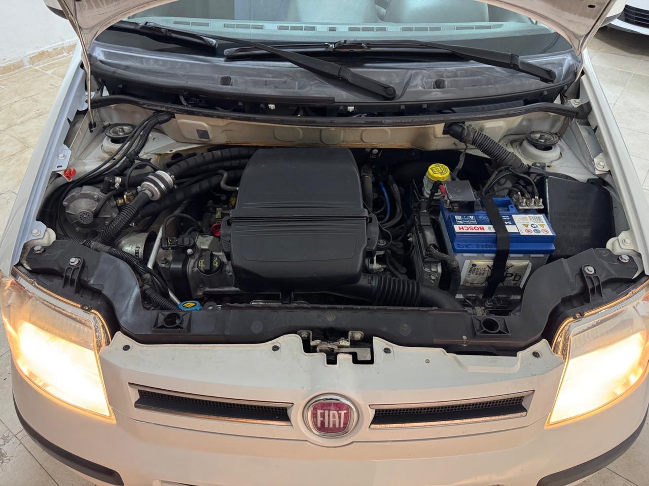 Fiat Panda 1.2 Dynamic GPL
