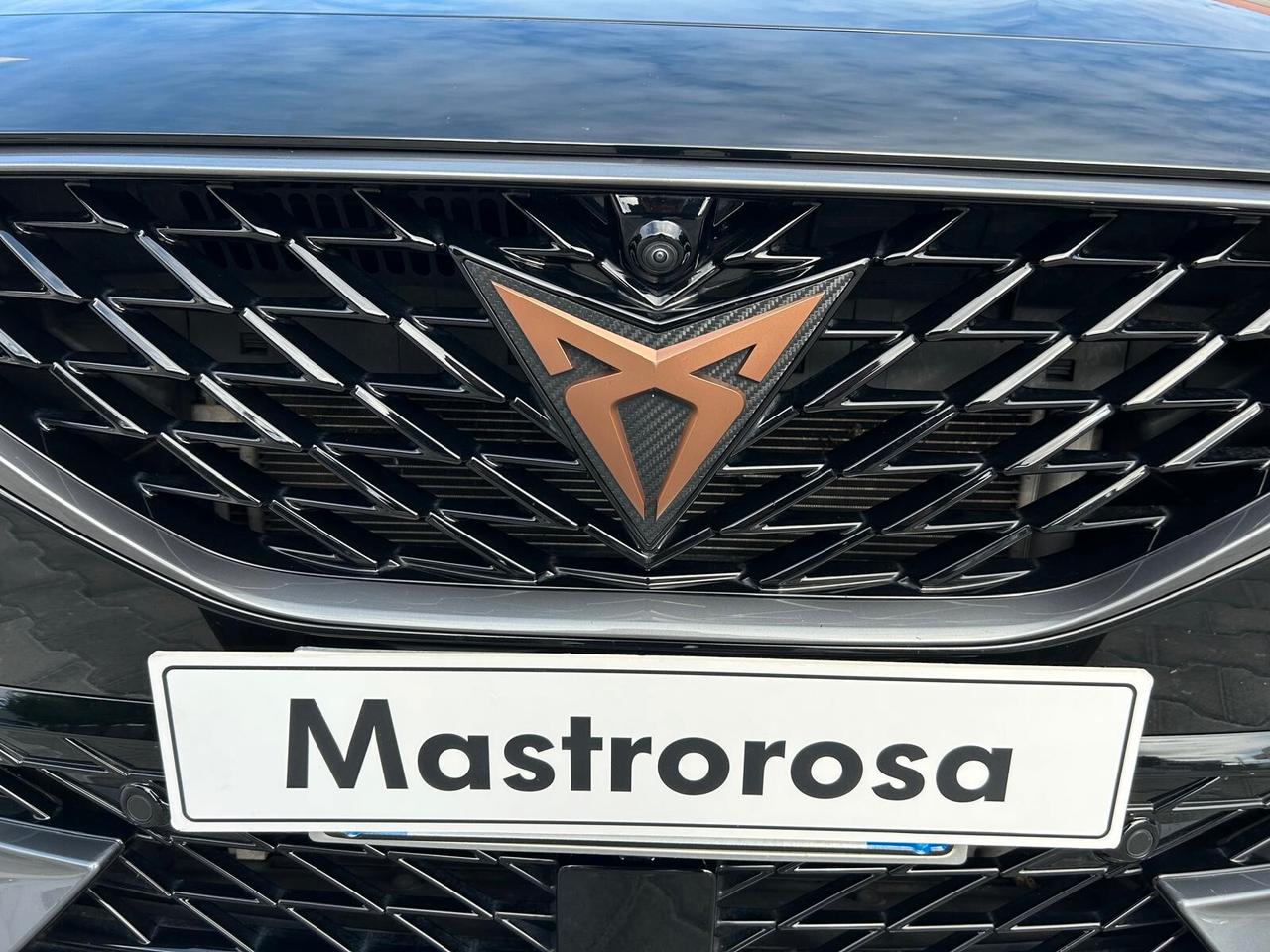 Cupra Formentor 2.0 TDI 4Drive DSG