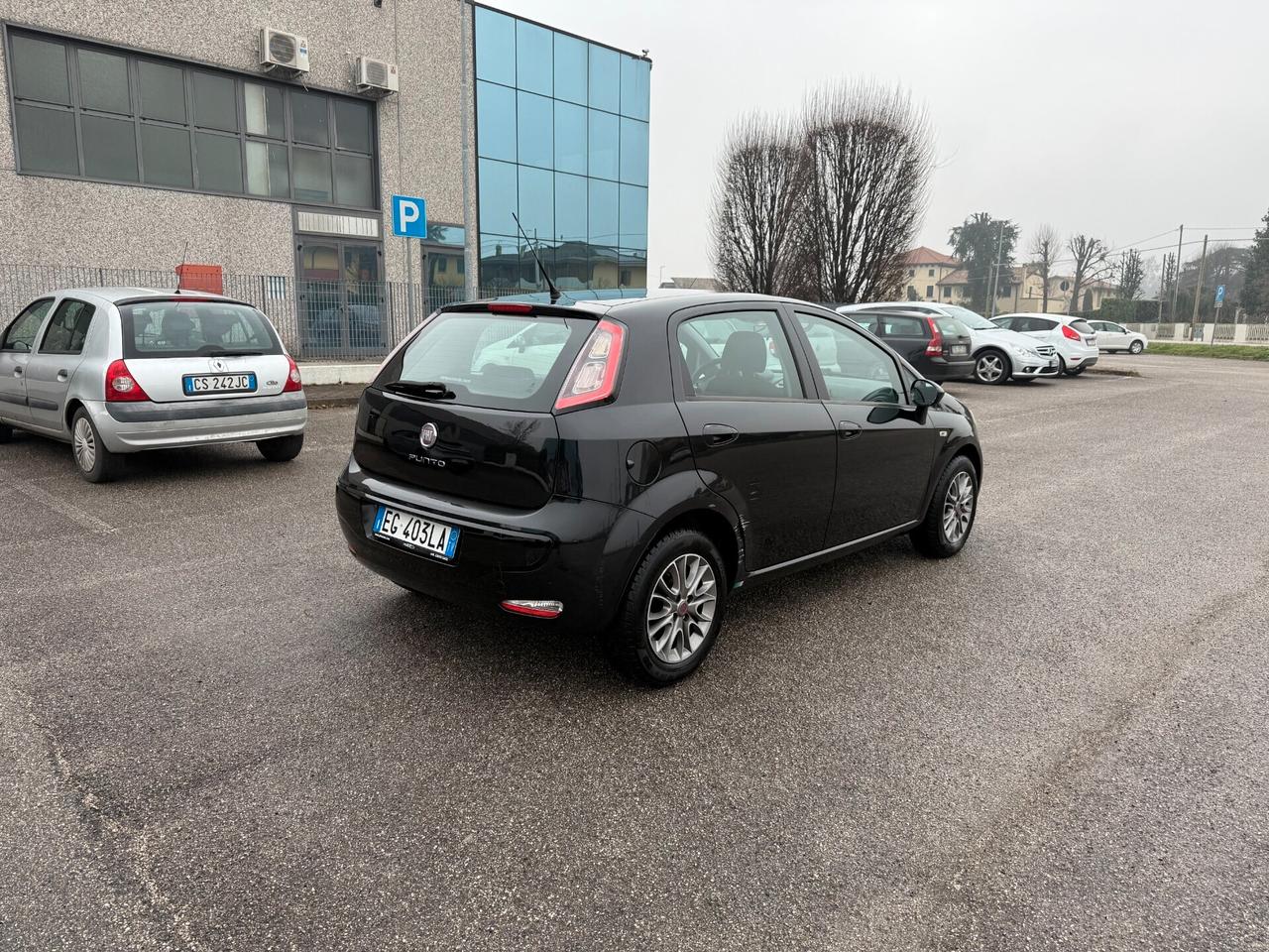 Fiat Punto Evo Punto Evo 1.2 5 porte S&S Dynamic