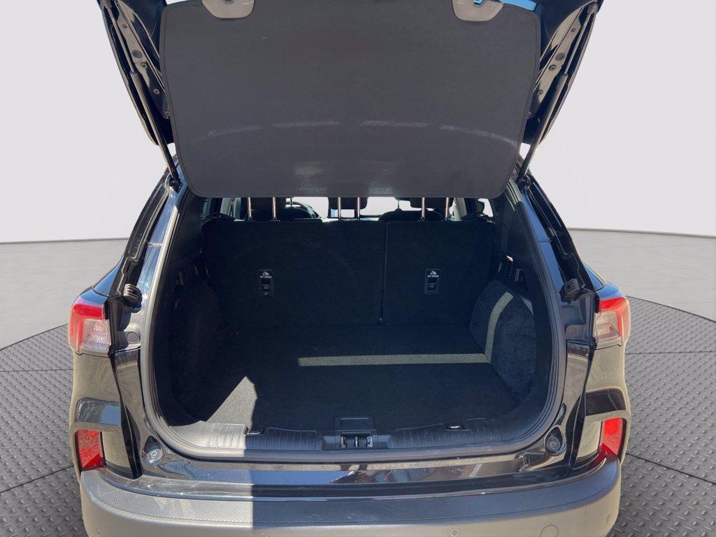 FORD Kuga 1.5 ecoblue Titanium 2wd 120cv del 2020