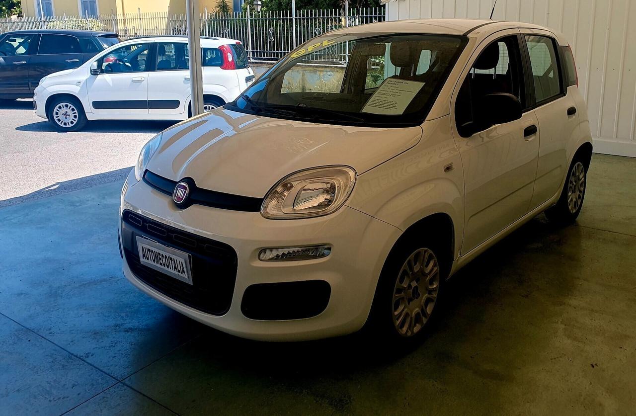 Fiat Panda 1.2 BENZ. - 2015 - KM. 133 MILA