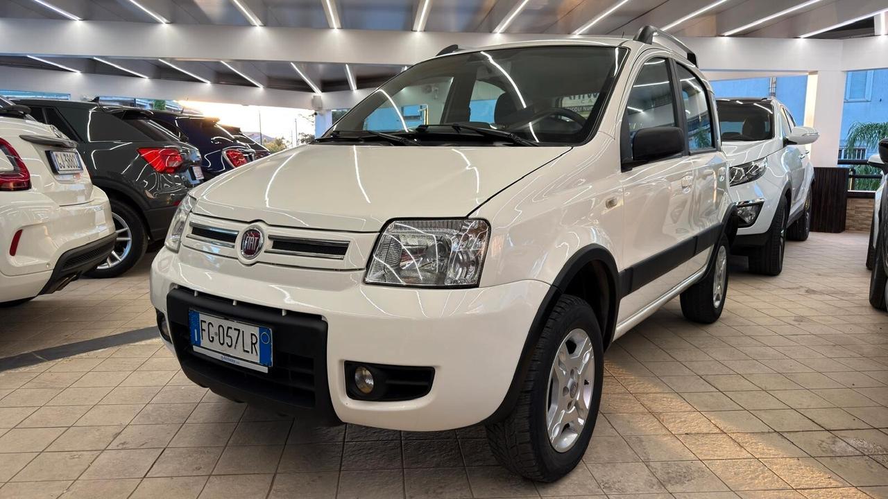 Fiat Panda 1.3 MJT 16V 4x4 Climbing