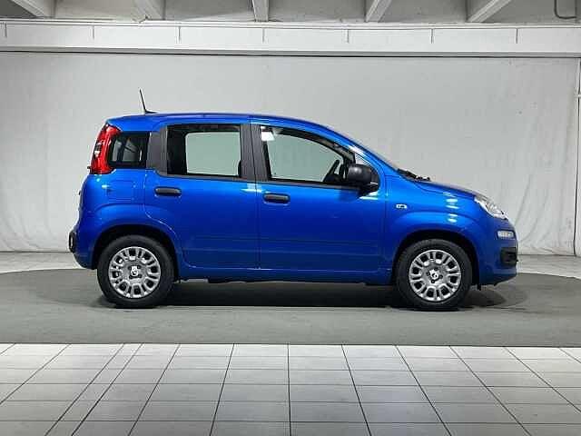 Fiat Panda 1.0 FireFly S&S Hybrid 5 Posti KM ZERO
